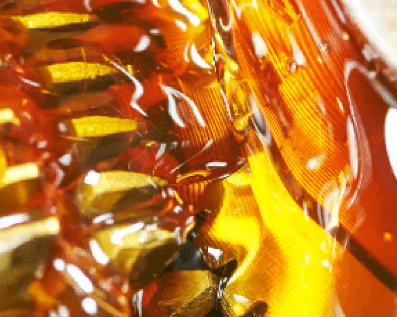 Snijolie lange variant